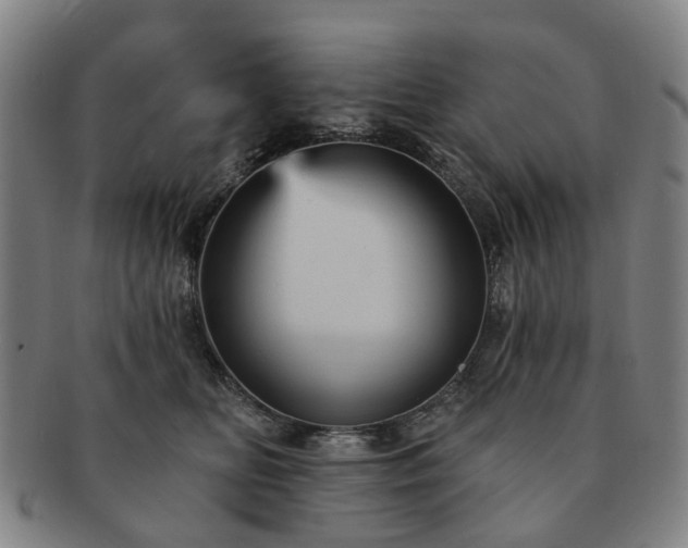 X0000091580518200708271223