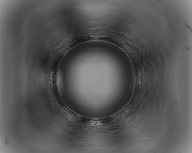 X0000091580519200708271223