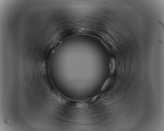 X0000091580520200708271223