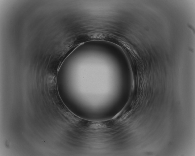 X0000091580521200708271223
