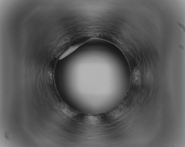 X0000091580522200708271223