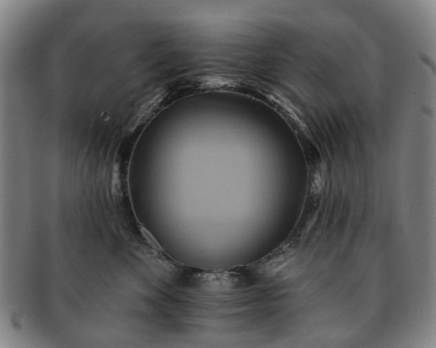 X0000091580524200708271223