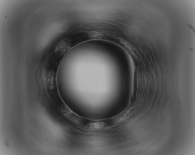 X0000091580525200708271223