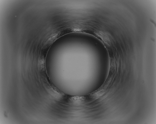 X0000091580526200708271223