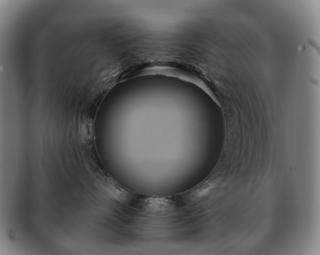 X0000091580528200708271223