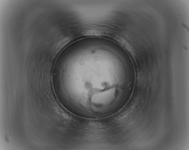 X0000091580529200708271222