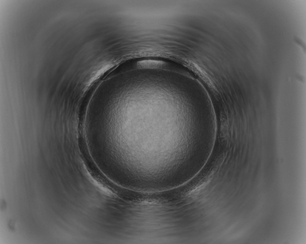 X0000091580530200708271222