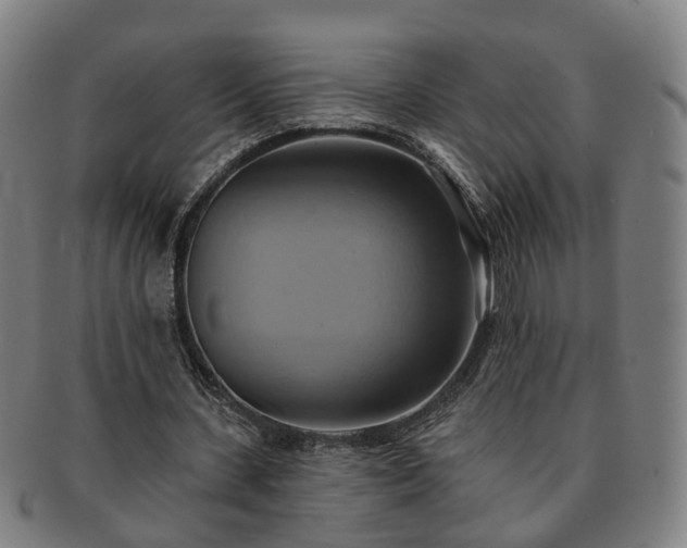 X0000091580531200708271222
