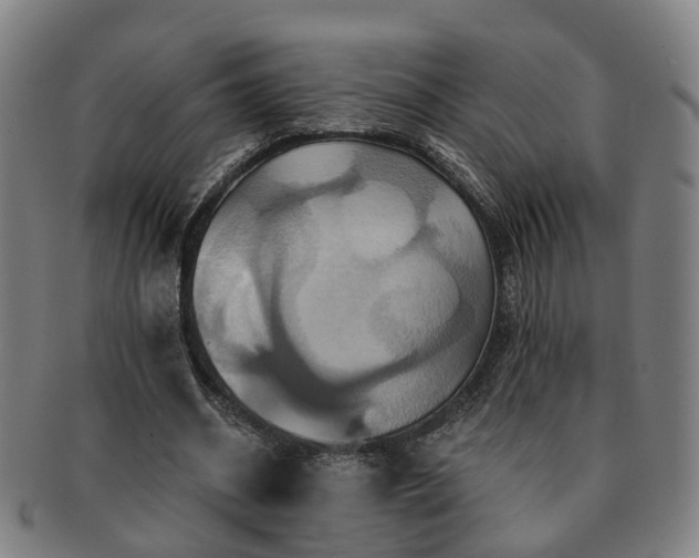 X0000091580534200708271222