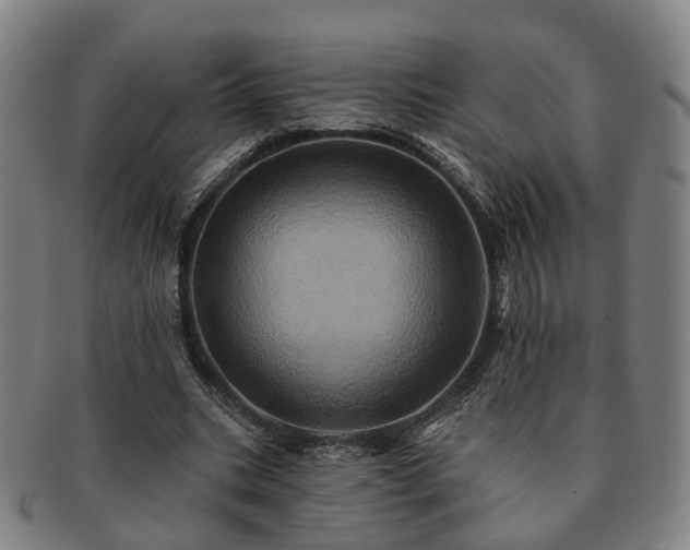 X0000091580535200708271222