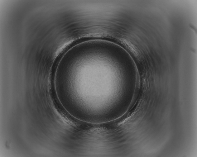X0000091580536200708271222