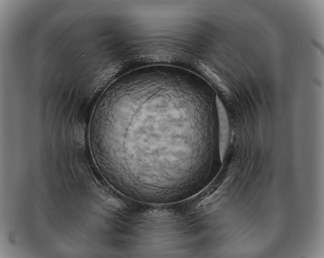 X0000091580537200708271222