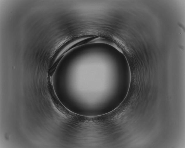 X0000091580538200708271222