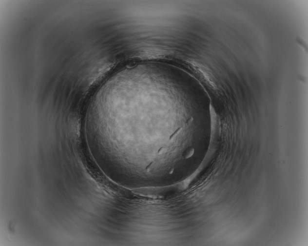 X0000091580539200708271222