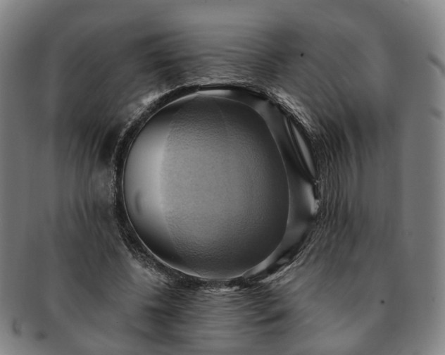 X0000091580540200708271222