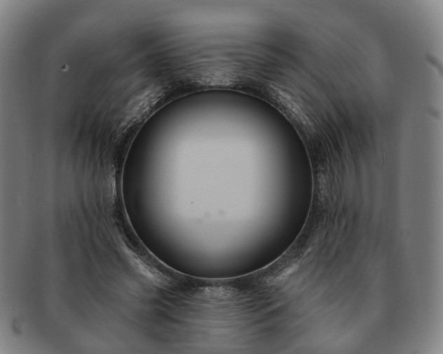 X0000091580541200708271222