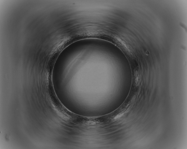X0000091580542200708271222