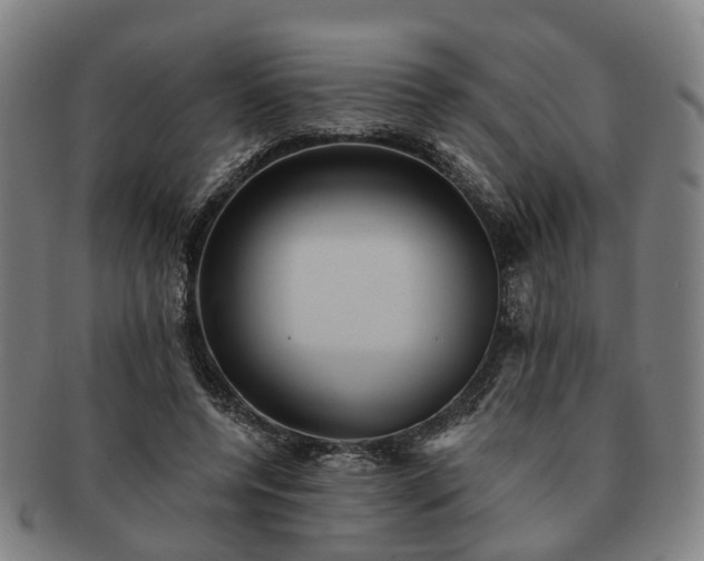X0000091580544200708271222