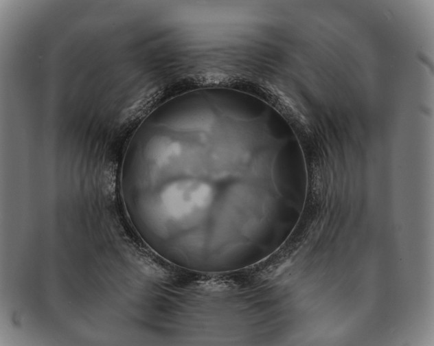 X0000091580545200708271222
