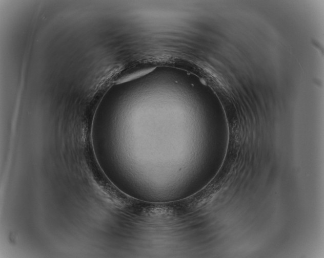 X0000091580546200708271222