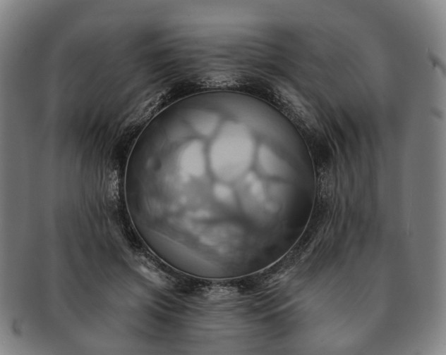 X0000091580549200708271222