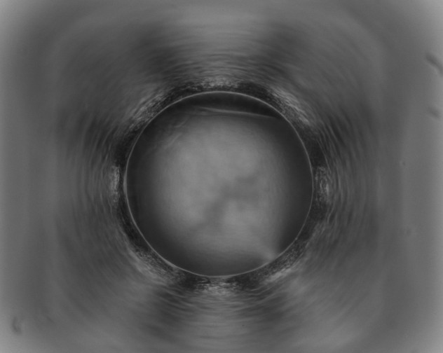 X0000091580550200708271222