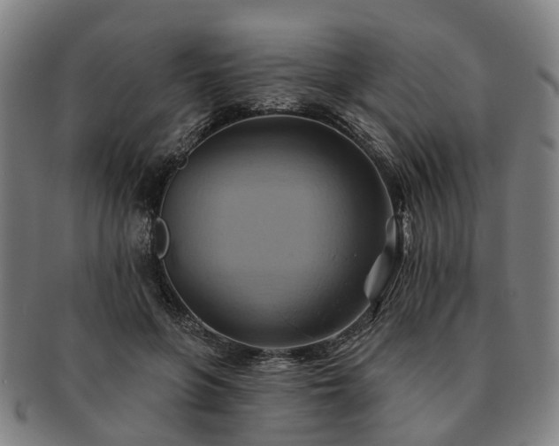X0000091580551200708271222