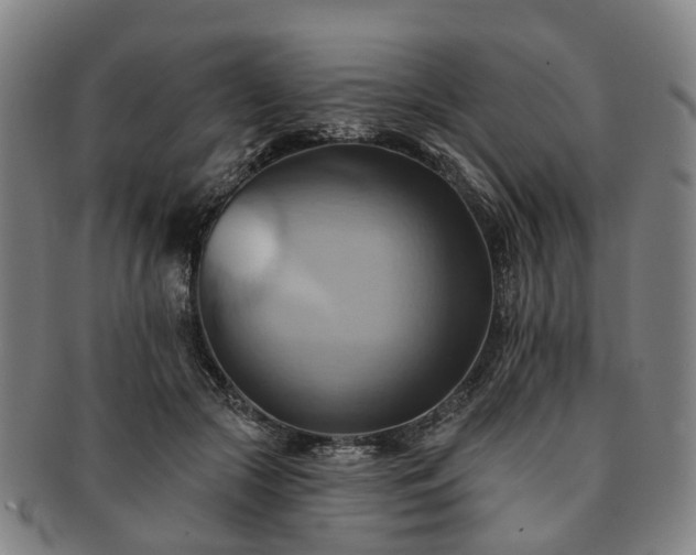 X0000091580553200708271222