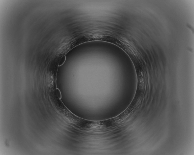 X0000091580555200708271222