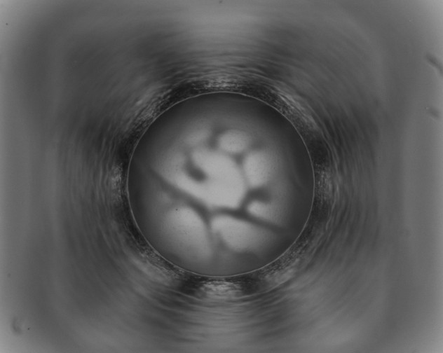 X0000091580557200708271222
