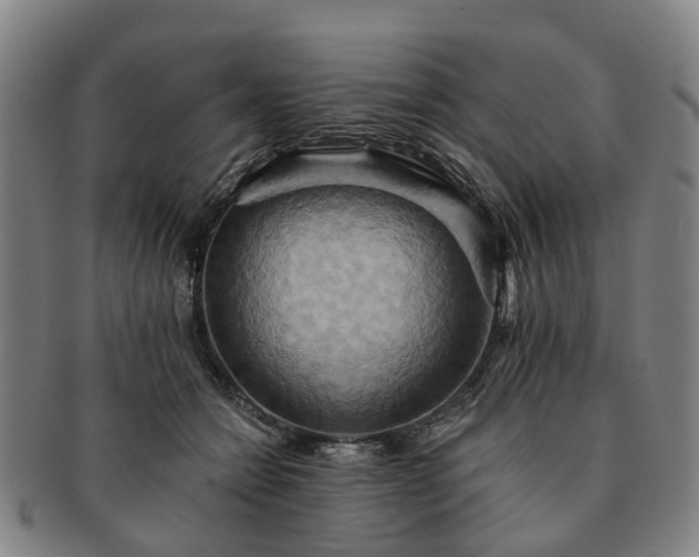 X0000091580558200708271222