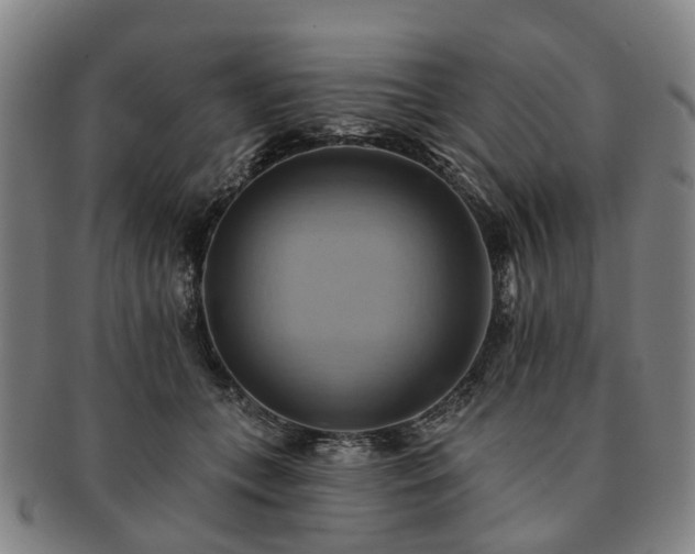 X0000091580559200708271222