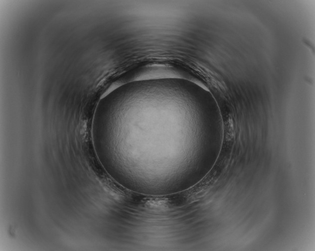 X0000091580560200708271222