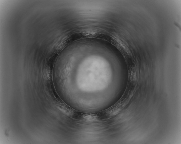 X0000091580561200708271222
