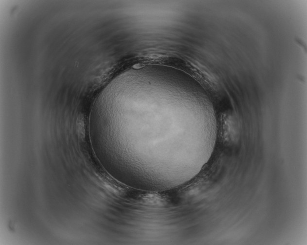 X0000091580562200708271222