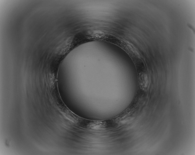 X0000091580563200708271222