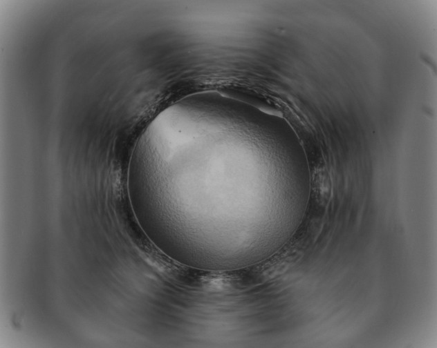 X0000091580564200708271222