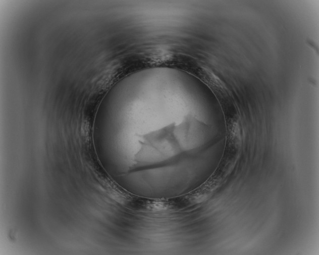 X0000091580565200708271222