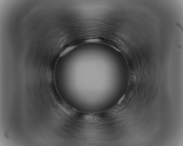 X0000091580568200708271223