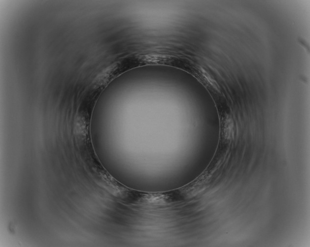 X0000091580569200708271223