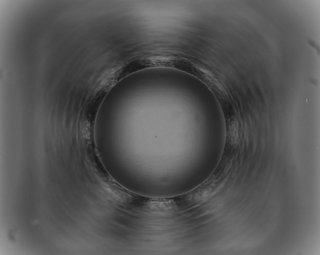 X0000091580571200708271223