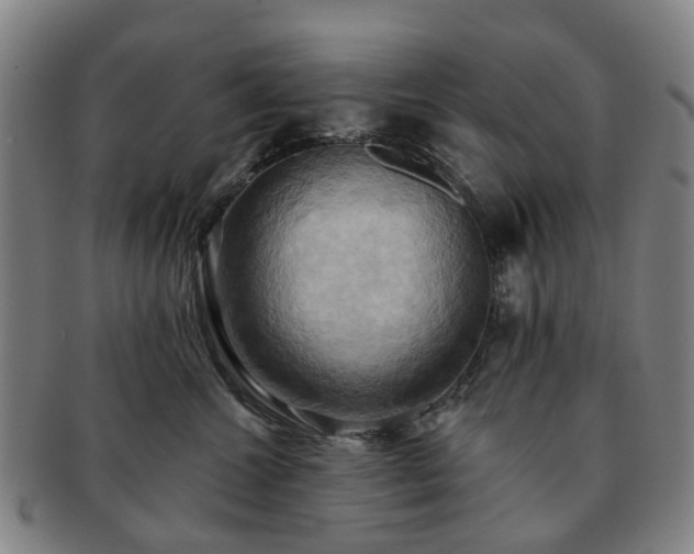 X0000091580572200708271223