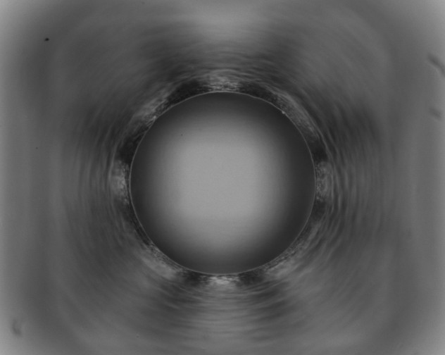 X0000091580573200708271223