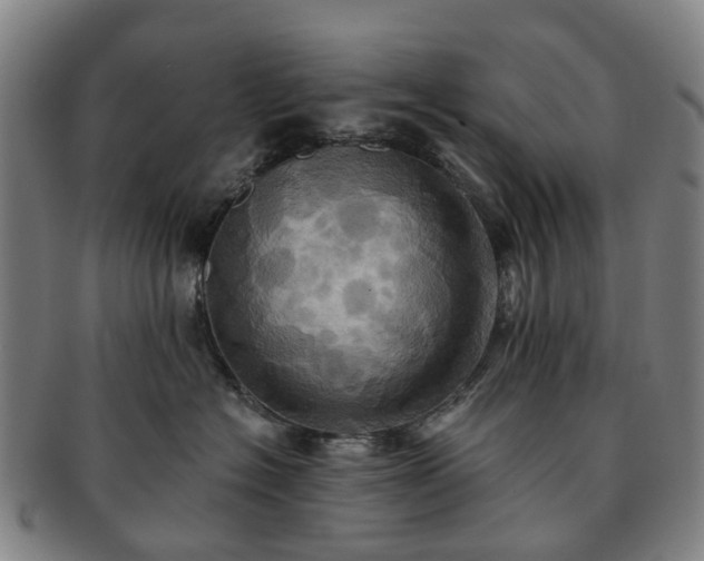 X0000091580574200708271223