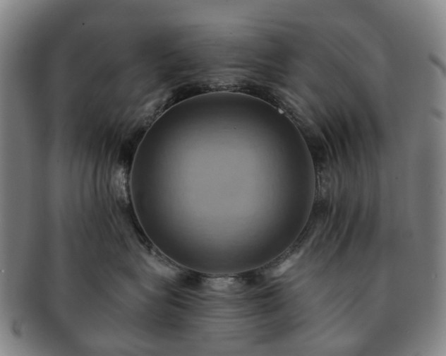 X0000091580575200708271223