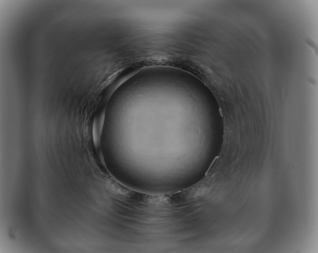 X0000091580576200708271223