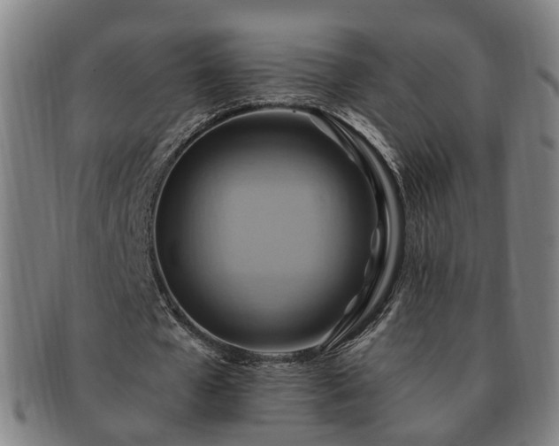 X0000091580577200708271222