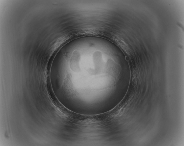 X0000091580578200708271222