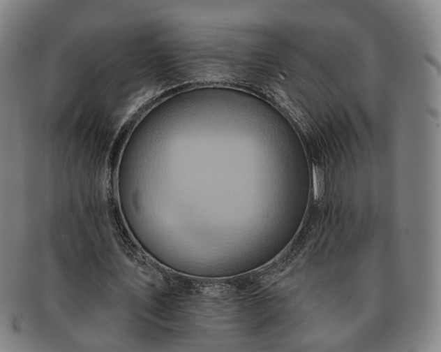 X0000091580579200708271222