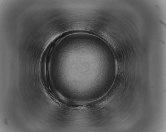 X0000091580580200708271222